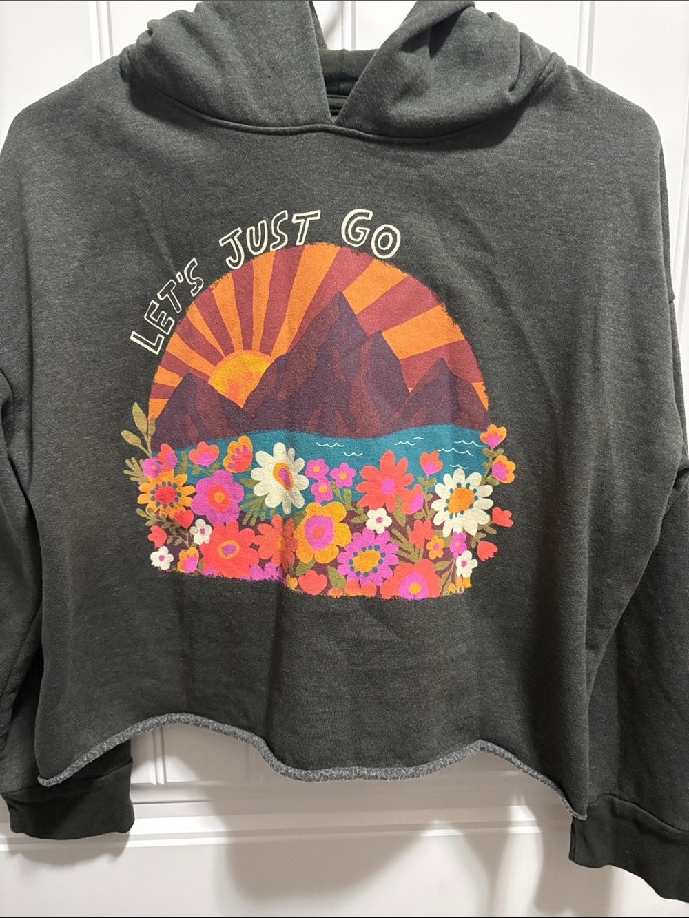 Natural Life XS Let’s Just Go Cropped Hoodie Mountain Floral Graphic